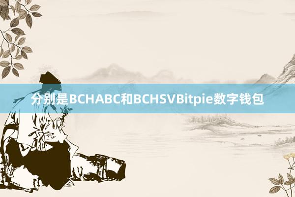 分别是BCHABC和BCHSVBitpie数字钱包