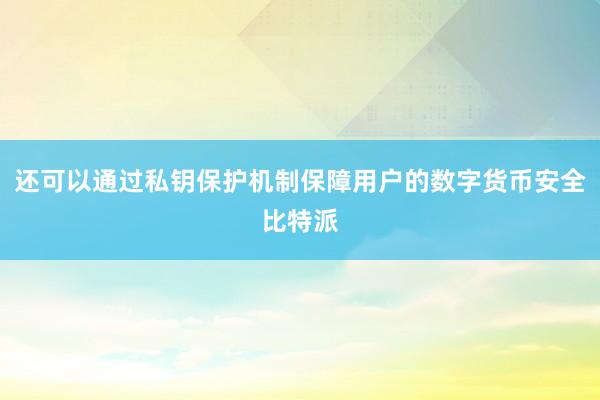 还可以通过私钥保护机制保障用户的数字货币安全比特派