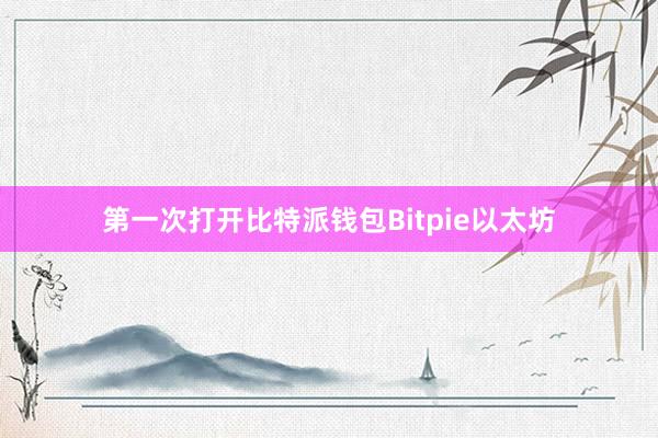 第一次打开比特派钱包Bitpie以太坊