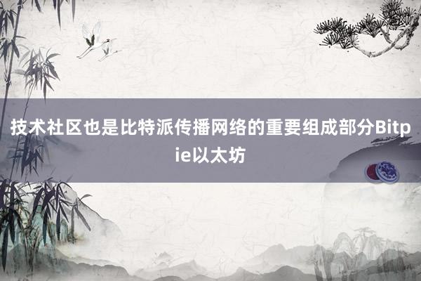 技术社区也是比特派传播网络的重要组成部分Bitpie以太坊