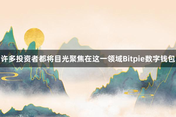 许多投资者都将目光聚焦在这一领域Bitpie数字钱包