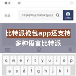 比特派钱包app还支持多种语言比特派