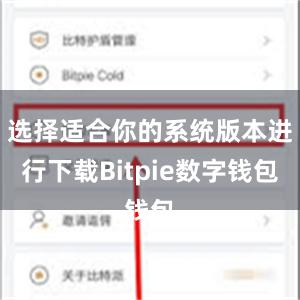 选择适合你的系统版本进行下载Bitpie数字钱包